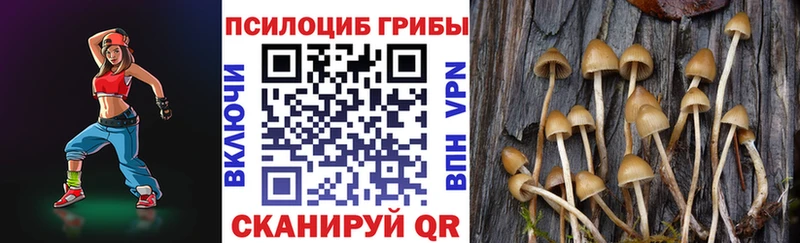 Галлюциногенные грибы MAGIC MUSHROOMS  Дербент 