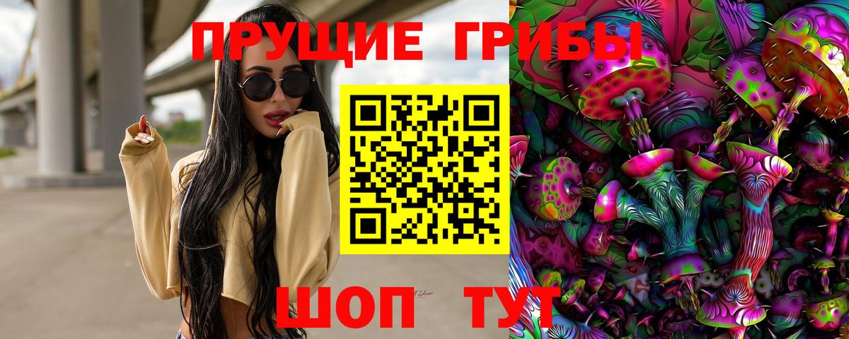 Псилоцибиновые грибы MAGIC MUSHROOMS  Галлюциногенные грибы GOLDEN TEACHER  Дербент 