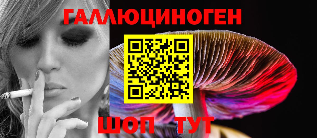 Дербент  Псилоцибиновые грибы ЛСД  Вход с VPN 