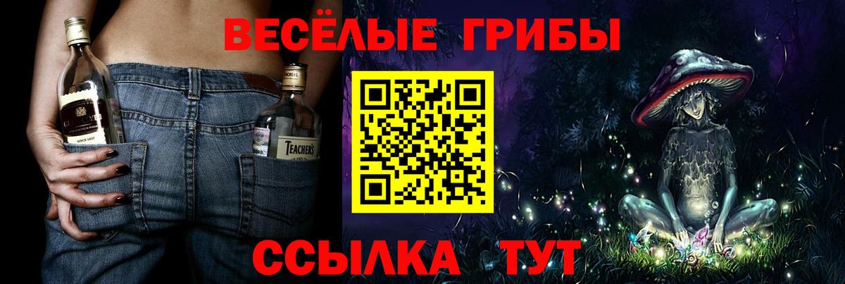 Псилоцибиновые грибы Magic Shrooms Дербент