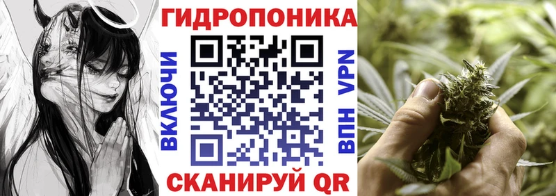 Бошки Шишки AK-47 Дербент